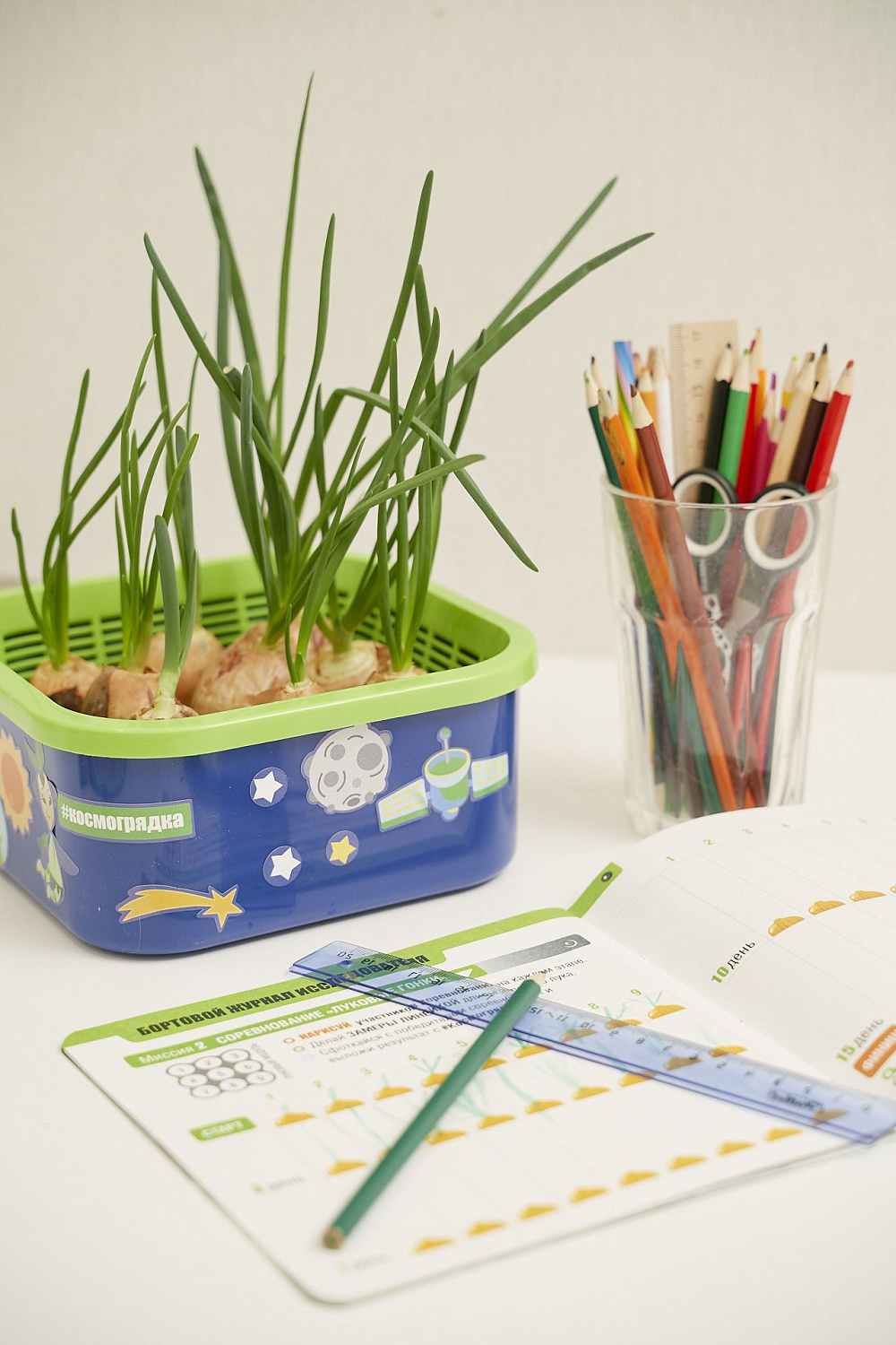 Как вырастить микрозелень в домашних условиях? Советы и рекомендации по проращиванию